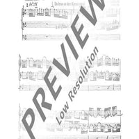 Zwei Choralvorspiele