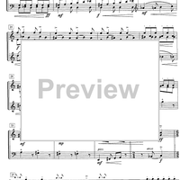 Impromptu No.17 Op.79