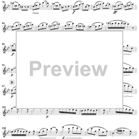 Duet No. 5 from Six Easy Duets, Op. 137 - Flute 1