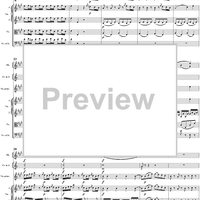 Violin Concerto No. 5 - Full Score