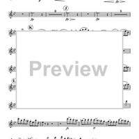 Overture in B-flat, D. 470 - Flute