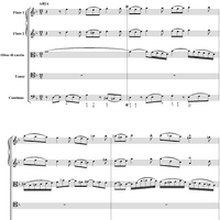 Cantata No. 13  "Meine Seufzer, Meine Thränen," BWV13