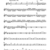 Overture to a Midsummer Night's Dream - Violin 2