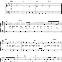 Hummingbird Heartbeat