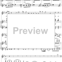 Preciosas Sprüchlein gegen Kopfweh, No. 14 from "Spanisches Liederbuch" II