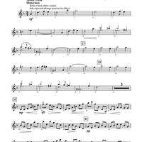 Harry Potter Symphonic Suite - Mallet Percussion