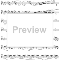 Violin Concerto in E Minor - Piano Score