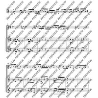 Cadenzas in E flat major - Incl. 2 Accompanying Horn Parts