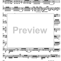 Jubilee Concerto for Celeia - Cello