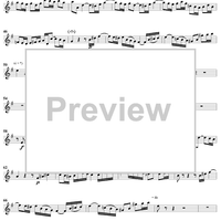 "Wenn Sorgen auf mich dringen", Duet, No. 5 from Cantata No. 3: "Ach Gott, wie manches Herzeleid" - Oboe d'amore