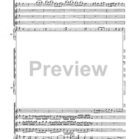 Double Concerto for Recorder and Flute in E minor - Score