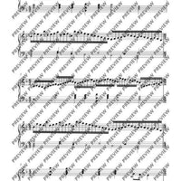 Two Variations on Praetorius’ “Lo, How a Rose E’er Blooming“