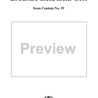 "Erbarme dich, mein Gott", Aria, No. 39 from "St. Matthew Passion" - Violin