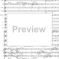 Mass in C Major, No. 6: Agnus Dei - Full Score