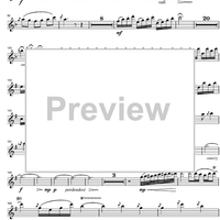 Argentinian Rhapsody - Flute