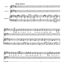 La none e il computer