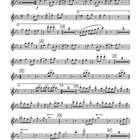 Sort's Salsa - Flute 1/Piccolo