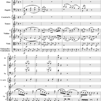 "Se al labbro mio non credi" and "Il cor dolente", aria, K295 - Full Score