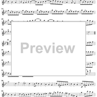 Sonata No. 13 in G Minor - Flute