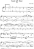 Sonate in E Minor, Op. 28