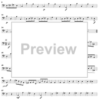 Cello Sonata No. 3 in A Minor, RV43 - Continuo