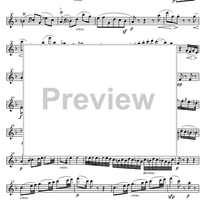 String Quintet C Major Op.29 - Violin 1