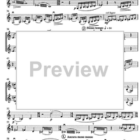 Contrabbasso concertante - Violin 2