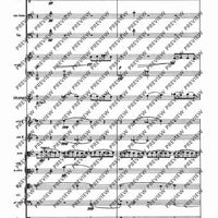 Il Vitalino raddoppiato - Full Score