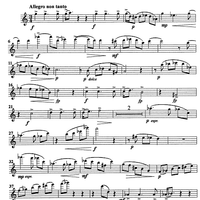 Pezzo in forma di sonatina - Flute