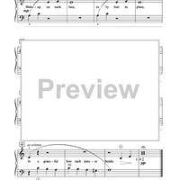 Evening at the Ballet