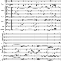 Orchestral Suite No. 4 in D Major - Score