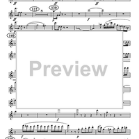 Overture for Winds, Op. 24 - Flute