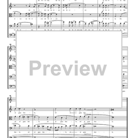 Io pur respiro - Score