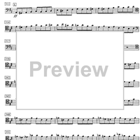 Concerto D Major - Cello