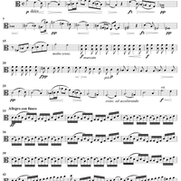 String Quartet in A Minor, Op. 70 - Viola