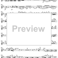 Violin Concerto No. 4 - Solo Violin