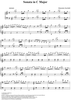 Sonata in C major - K356/P488/L443