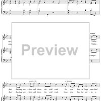 The Traveller Benighted