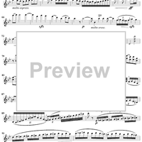 Violin Concerto No. 1 - Violin