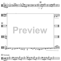 Harry's Wondrous World