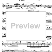 Musichetta - Saxophone in B-flat (soprano/tenor)
