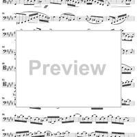 Concert Study No. 19