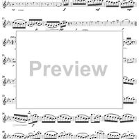 Suite in C Minor, BWV997 - Flute