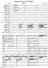 Symphony No. 3 in D Major (D200) Movement 1 - Full Score