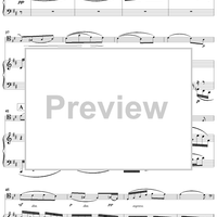 Variations concertantes in D Major Op.17 - Piano