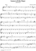 Sonata in B-flat major   (K410/P372/LS43)