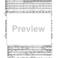 Double Concerto for Recorder and Flute in E minor - Score