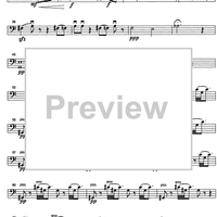 Parvulæ lacrimæ - Cello