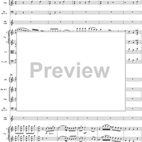 Oboe Concerto in C Major, HobVIIg/C1 Movement 1 - Full Score