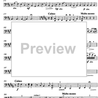 Carmen pro carmine - aria con variazioni - Cello